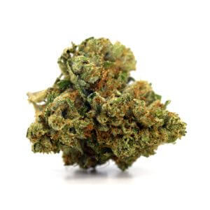 Venom OG – 3.5g Premium Godspeed Flower – Octane 89