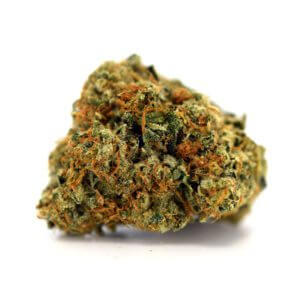 XXX OG - 14g Premium Godspeed Flower - Octane 87