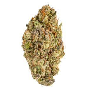 Gelato 33 - 14G Premium Flower