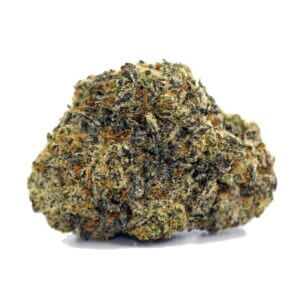 Grease Monkey – 14g Premium Godspeed Flower – Octane 87