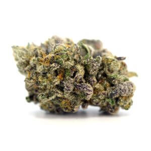 Iceberg Slim – 3.5g Premium Godspeed Flower – Octane 91