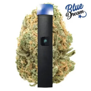 ALL IN ONE JUSTplay™ Blue Dream