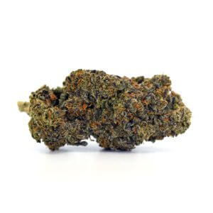 Liquid Cherry Gelato – 14g Premium Godspeed Smalls – Octane 87