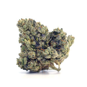 Jell-O – 14g Premium Godspeed Flower – Octane 87