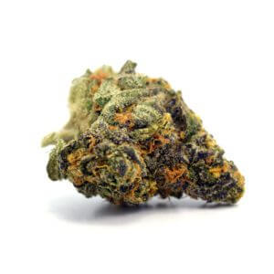 Purple Rain - 14g Premium Godspeed Flower - Octane 87