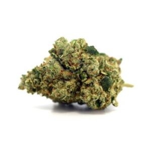 Super Lemon Haze - 3.5g Premium Godspeed Flower - Octane 91